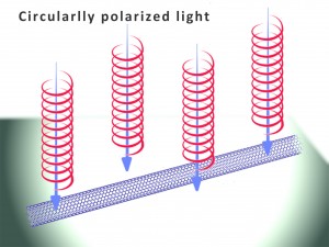 Carbon Nanotube under Circularlly Polarized Light