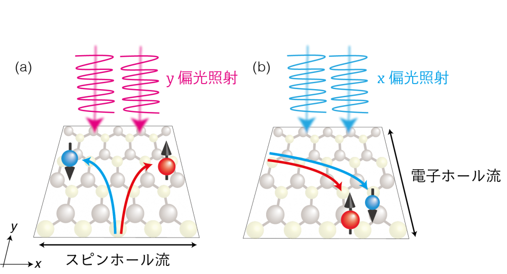 [研究成果] 羽原廉氏(若林研M1)と若林教授が、非線形光学的ホール効果による 電子・スピン流生成機構の理論提案