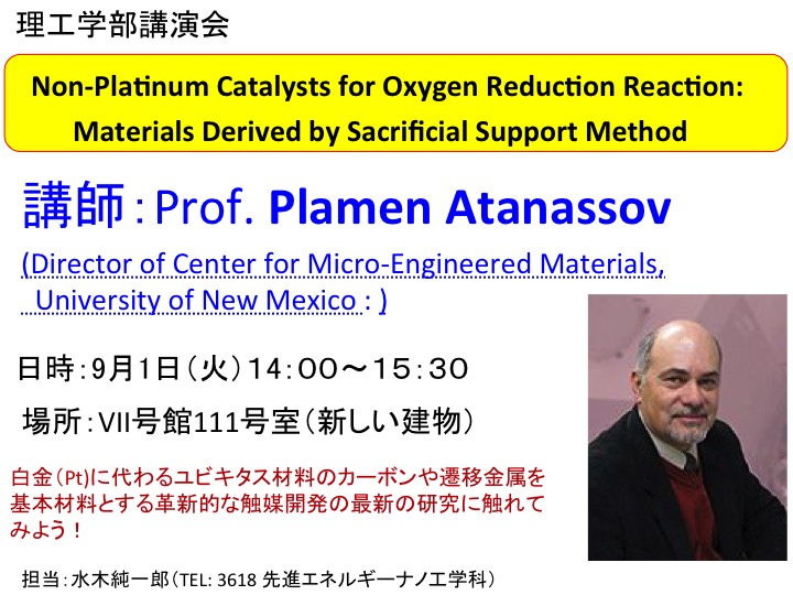 Non-Platinum Catalysts for Oxygen Reduction Reaction: Materials Derived by Sacrificial Support Method